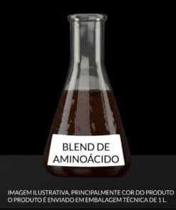 BLEND DE AMINOÁCIDO - 500ml