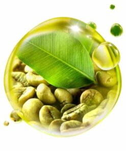 ÓLEO DE CAFÉ VERDE - 1L