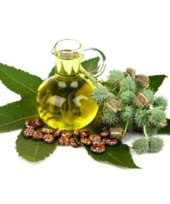 ÓLEO DE RÍCINO/MAMONA - 1L