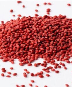 SEMENTE DE CRANBERRY - 100g