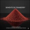 Semente de Cranberry matéria-prima para esfoliantes faciais e sabonetes
