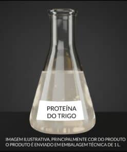 PROTEÍNA DO TRIGO - 1KG