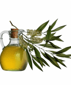 ÓLEO DE MELALEUCA - 1L